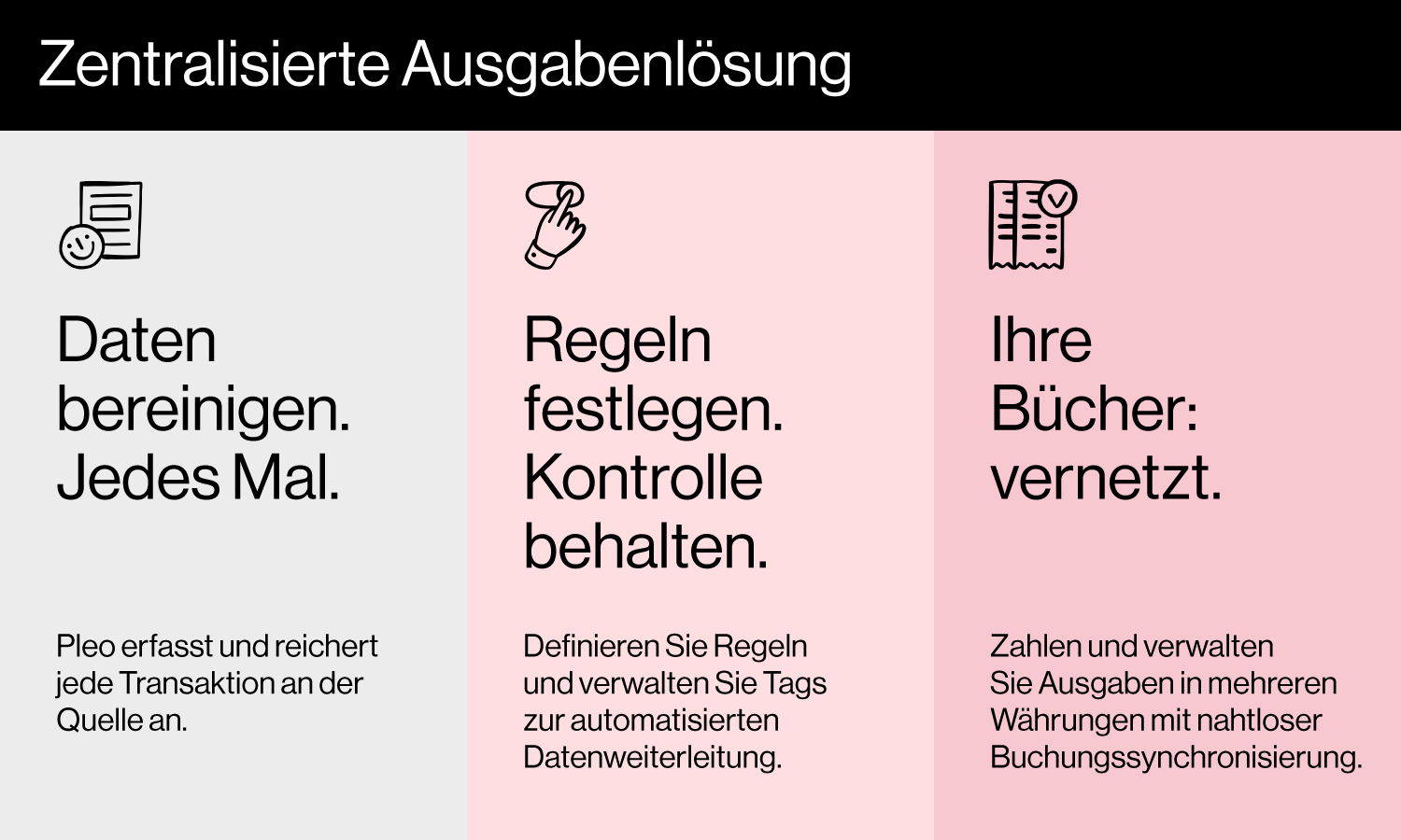 Pleo Q2 Seasonal Campaign - Silver LG Article Diagram DE