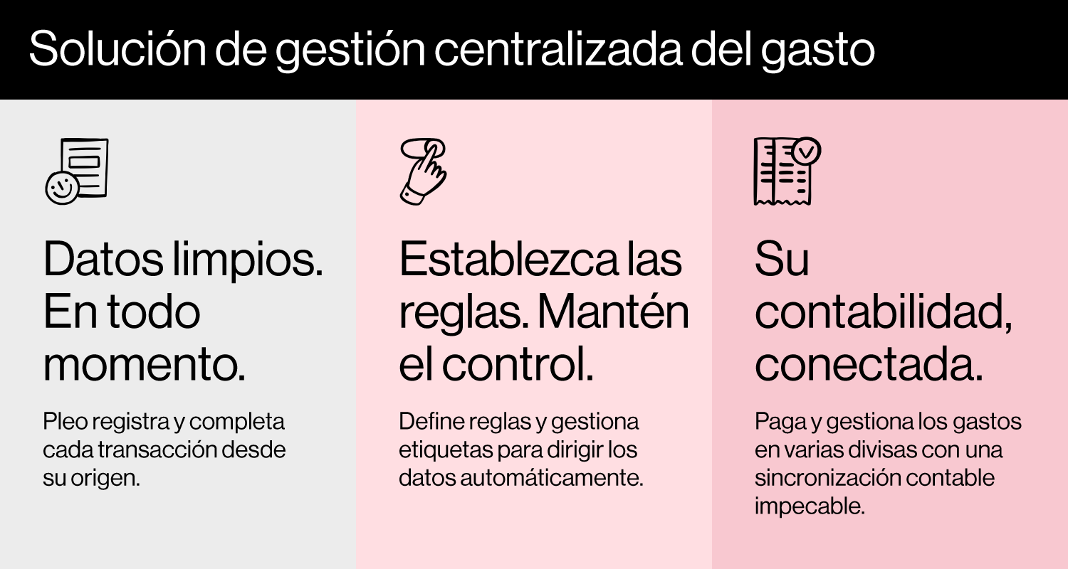 Pleo Q2 Seasonal Campaign - Silver LG Article Diagram ES