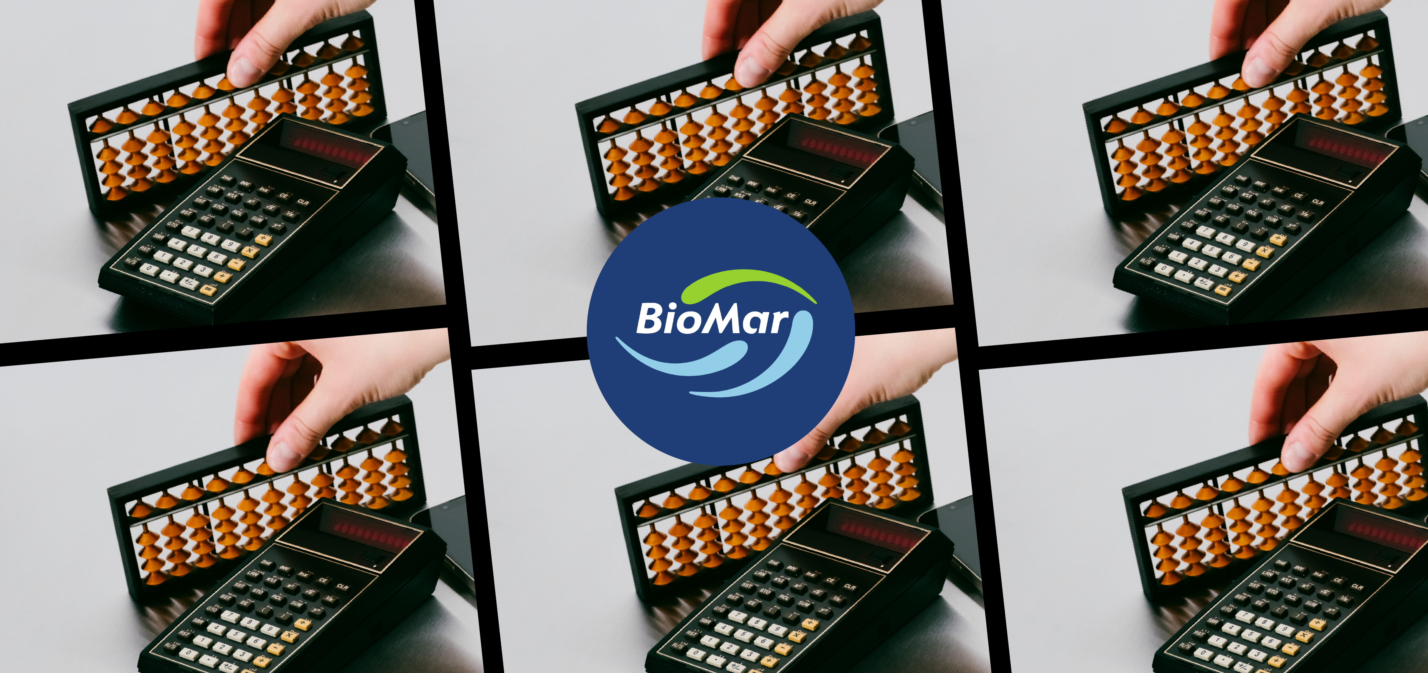 Simplifying multi-entity spend at BioMar