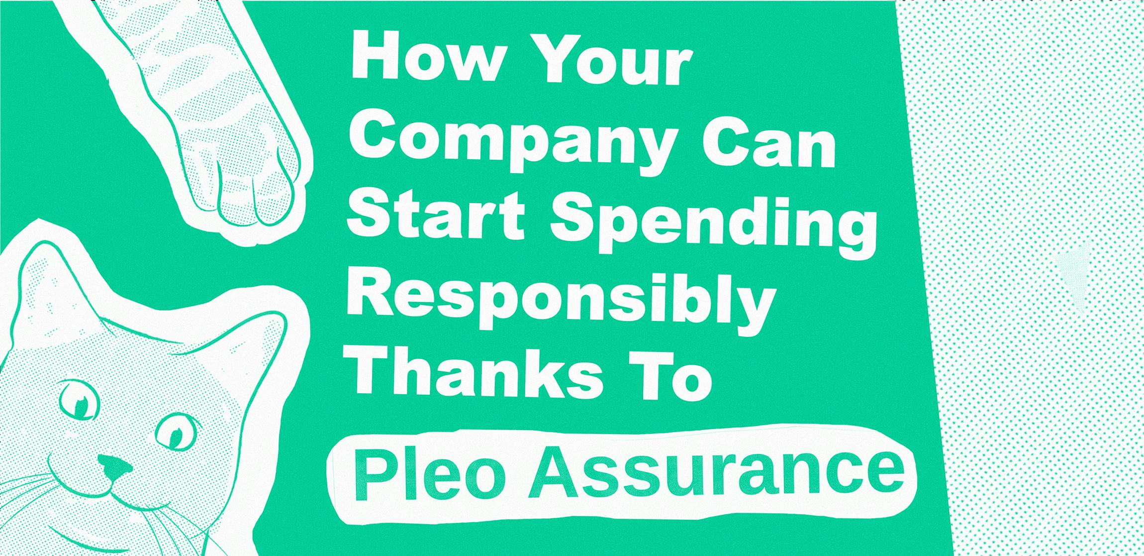 How your company can start spending responsibly thanks to Pleo Assurance