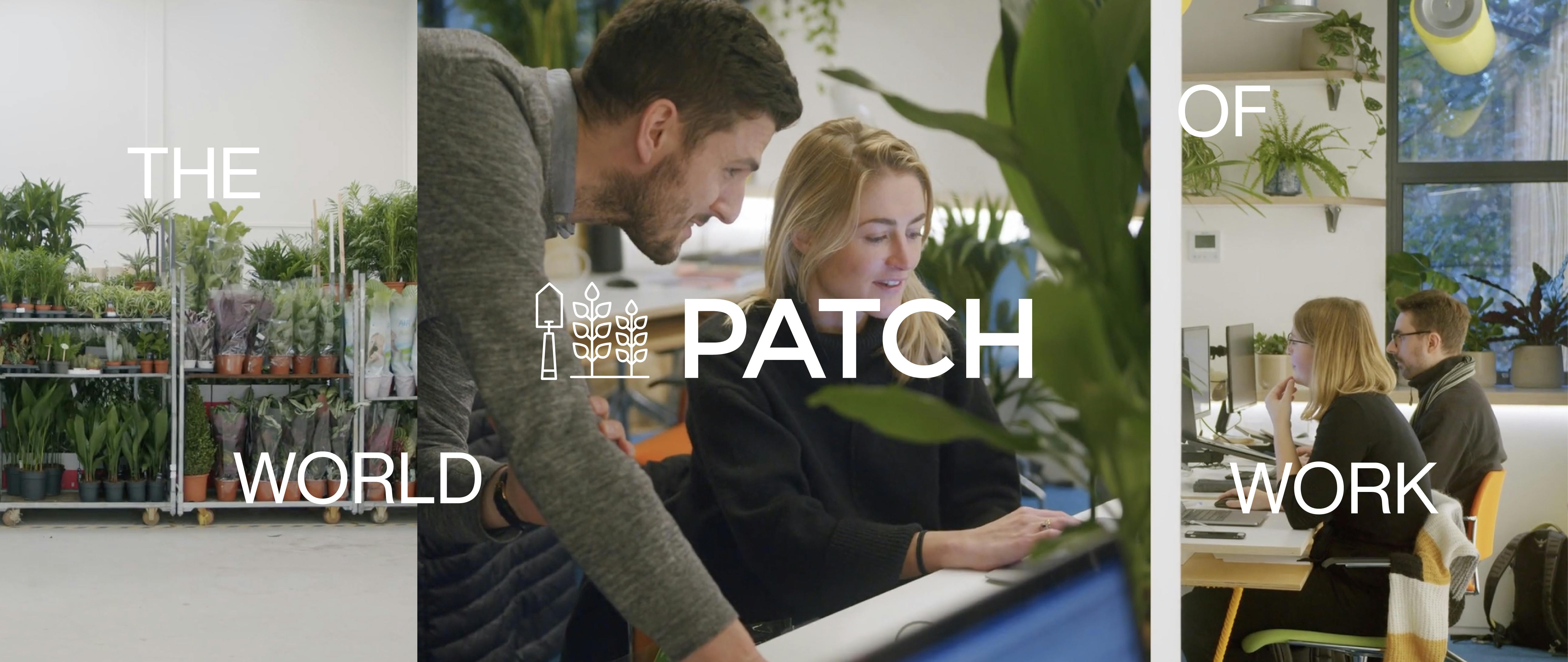 The World of Work: Patch