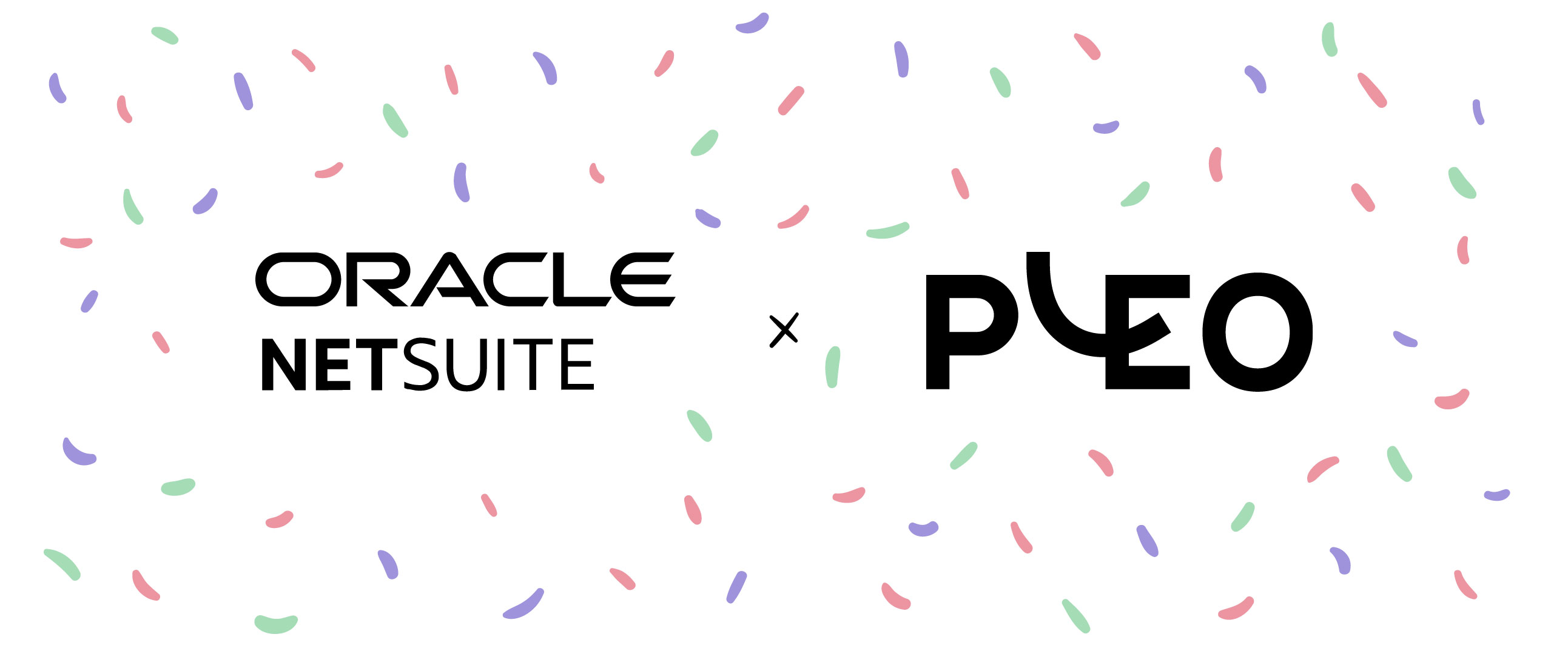 Pleo und Oracle NetSuite