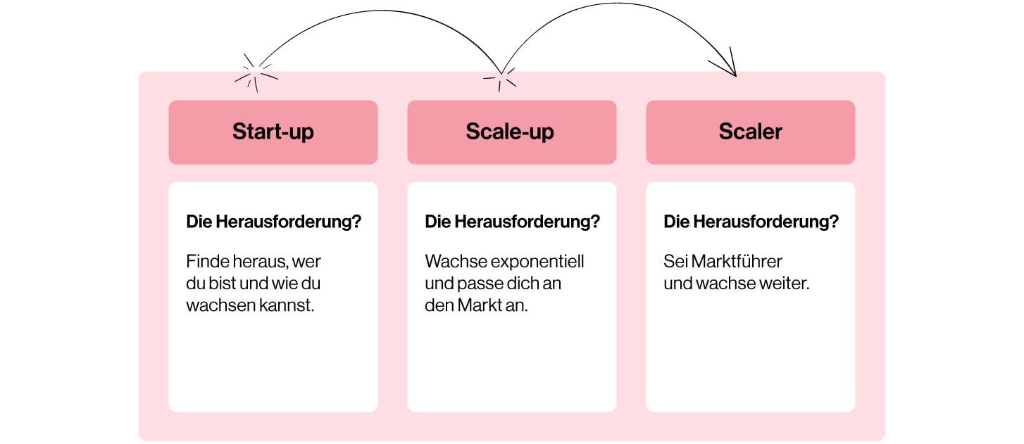 Vom Start-up zum Scale-up